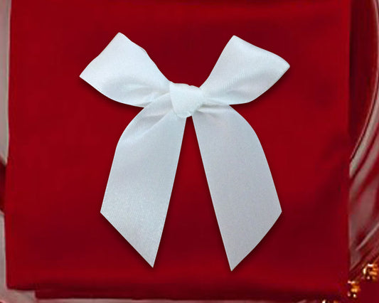 Organza Bow Tie Ribbons (Set of 10)